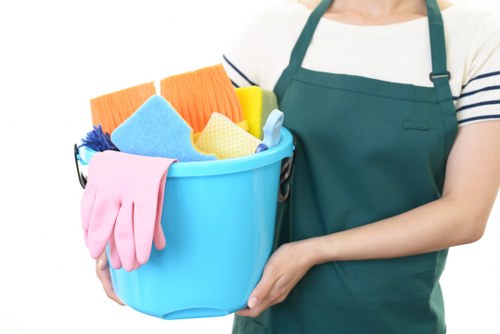 Professional domestic cleaning in a Richmond Upon Thames home