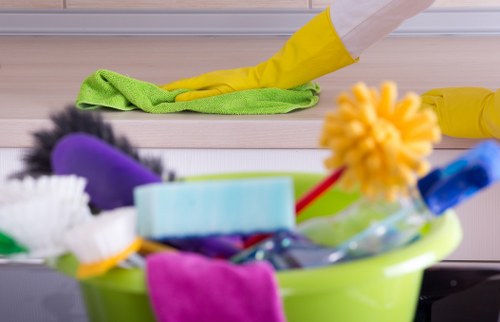 Eco-friendly domestic cleaning in Richmond Upon Thames