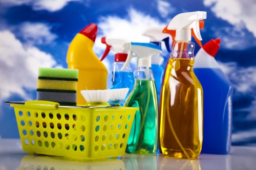 Move out cleaning of a bright living room