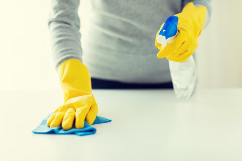 House cleaning essentials for a tidy and organized home