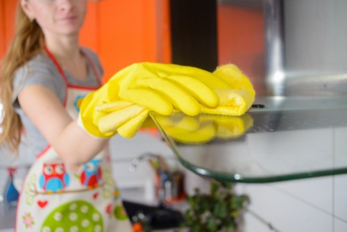 Professional tenancy cleaning in a bathroom