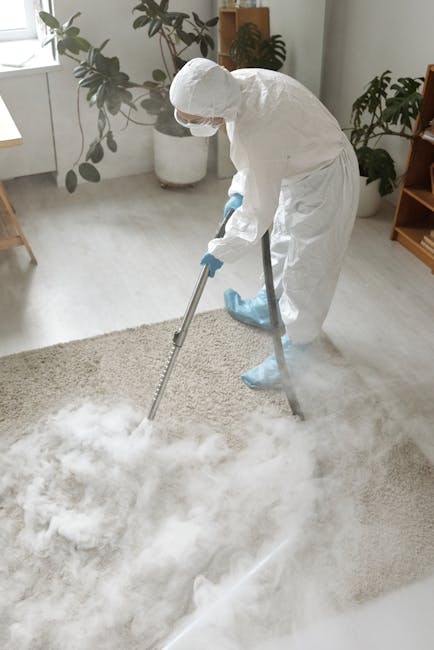 A young boy is using a portable vacuum cleaner to clean a beige rug in a living room with wooden flooring, a white sofa, and a light-colored wall with large windows covered by sheer curtains. An older